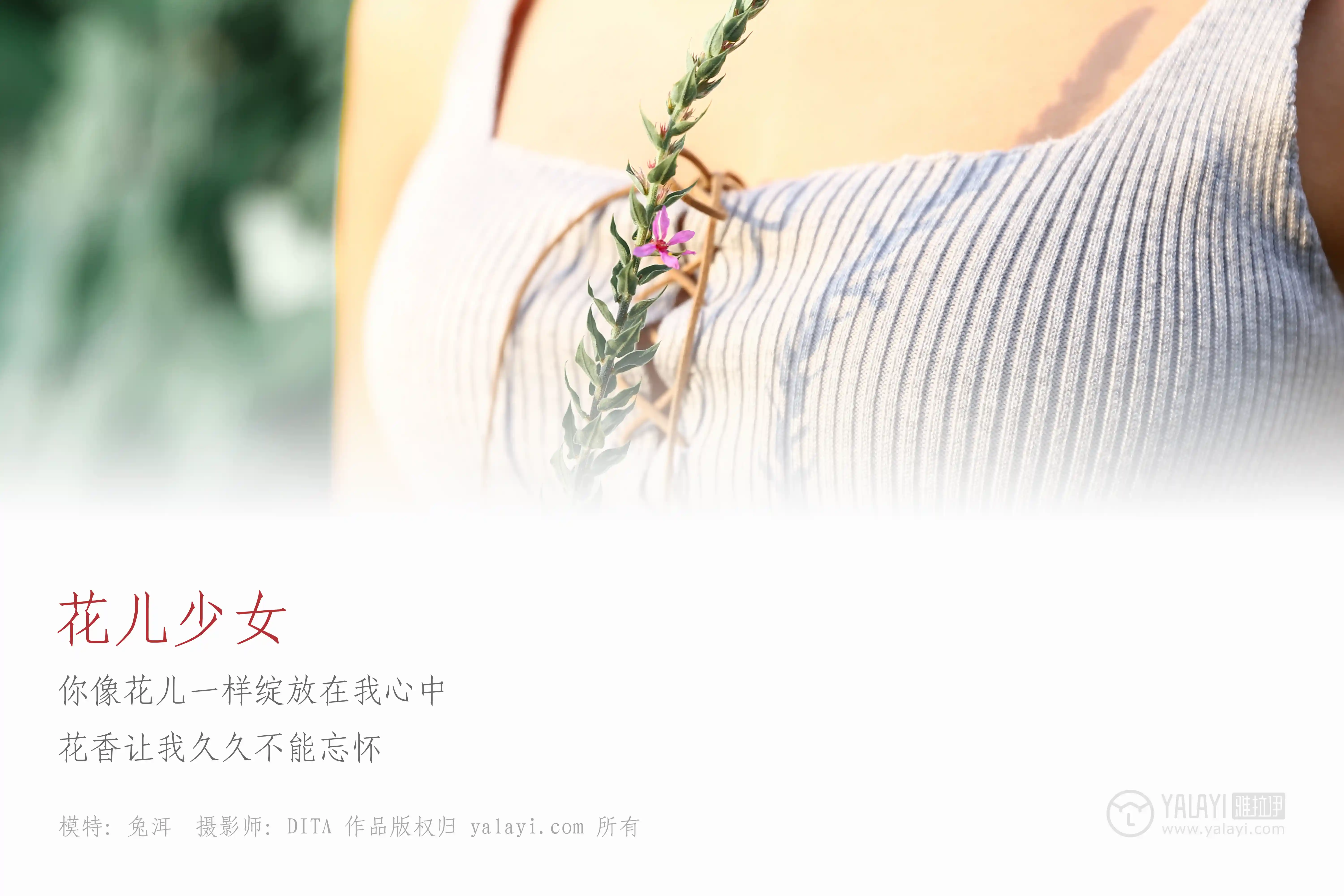 [YALAYI雅拉伊] No.026 花儿少女 兔洱 [40P488M]-第1张